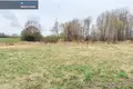 Atterrir  Karsunalaukis, Lituanie