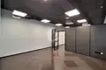 Commercial property 123 m² in Minsk, Belarus