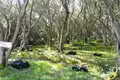Land 1 room 7 000 m² Agios Dimitrios, Greece