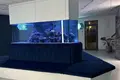 Mieszkanie 1 pokój 56 m² Odessa, Ukraina