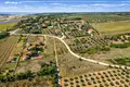 Atterrir 4 062 m² Kassandrino, Grèce