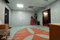 Commercial property 1 room 67 m² in Minsk, Belarus