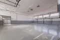 Tienda 1 727 m² en Wyrzysk, Polonia