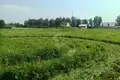   Добринёвский сельский Совет, Беларусь