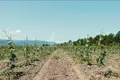 Działki 50 000 m² Tbilisi, Gruzja
