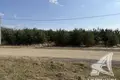 Land  Zhabinka, Belarus