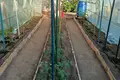 3-Schlafzimmer-Bungalow 109 m² Fakiya, Bulgarien