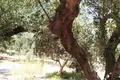 Land  Greece, Greece