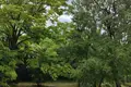 5 room villa 190 m² Balatonalmadi, Hungary