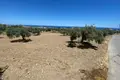 Parcelas  Kazafani, Chipre del Norte