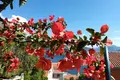 Hotel 150 m² in Krasici, Montenegro
