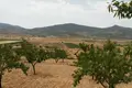 Parcelas  Hondón de las Nieves, Španjolska
