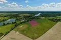 Dom 11 006 m² Nienawiszcz, Polska