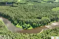 Grundstück  Skaliskes, Litauen
