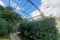 5 bedroom house  Stoliv, Montenegro