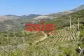 Propriété commerciale 25 000 m² à Skala Sotiros, Grèce