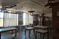 Restaurant 323 m² in Visnieuski sielski Saviet, Belarus
