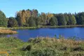 Casa 55 m² Nalibacki sielski Saviet, Belarús