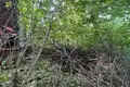 Atterrir 800 m² Sokolskoe, Russie