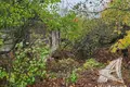 Land 40 m² Chmielieva, Belarus