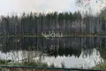 Дом 30 м² Городецкий муниципальный округ, Россия