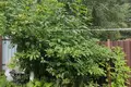 Wohnung 2 zimmer 42 m² Minsk, Belarus