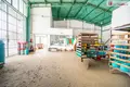 Propiedad comercial 850 m² en Jindrichuv Hradec, Chequia