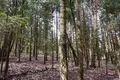 Земельные участки  муниципальный округ Истра, Россия