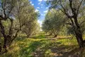 Parcelas 4 054 m² Nea Triglia, Grecia