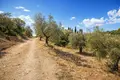 Atterrir 16 728 m² Neos Marmaras, Grèce
