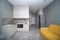 1 room apartment 26 m² Minsk, Belarus