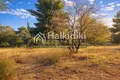 Parcelas 15 000 m² Nikiti, Grecia