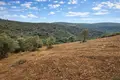 Land 4 483 m² Megali Panagia, Greece