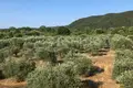 Grundstück 10 500 m² Gemeinde Aristotelis, Griechenland