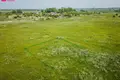 Land  Palanga, Lithuania