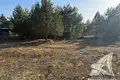 Land  Zabinkauski sielski Saviet, Belarus