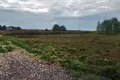 Atterrir  Zhabino, Russie