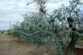 Land 2 700 m² Nea Flogita, Greece