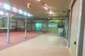 Nieruchomości komercyjne 10 500 m² Kopanos, Grecja
