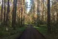 Hotel 3 500 m² Bobr, Belarus