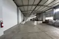 Конференц-зал 3 500 м² Berxulli, Албания
