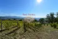 Commercial property 930 m² in Narni, Italy