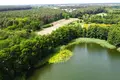 Parcelas 31 500 m² Buszewo, Polonia