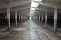 Склад 12 000 м² Krasnyj Put, Россия