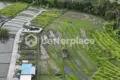 Atterrir  Canggu, Indonésie