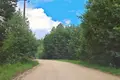 Дом  Плещеницкий сельский Совет, Беларусь