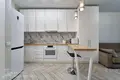 1 room apartment 30 m² Minsk, Belarus