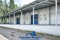 Warehouse 12 251 m² in Minsk, Belarus