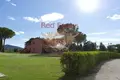 Commercial property 1 600 m² in Grosseto, Italy