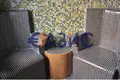 Hotel 2 562 m² Sweti Włas, Bułgaria